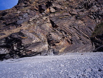 England, Cornwall, Millock Bay, Sea cliffs showing folding in rock face.