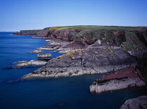 Wales, Pembrokeshire, St Brides Bay, View to Tower Point along coastal path with flowering Gorse.