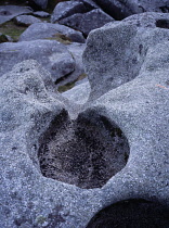 England, Cornwall, Bodmin Moor, Rough Tor, basin shaped holes in granite rock surface  cause by weathering by frost and wind erosion combined.
