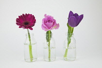 Studio shot of cut flowers in glass bottle.