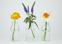 Studio shot of cut flowers in glass bottle.