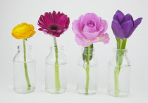 Studio shot of cut flowers in glass bottle.