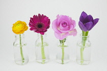 Studio shot of cut flowers in glass bottle.