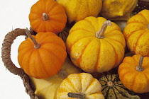 Studio shot of various pumpkins.