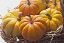 Studio shot of various pumpkins.