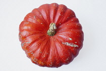 Studio shot of various pumpkins.