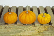 Studio shot of various pumpkins.