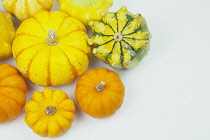 Studio shot of various pumpkins.