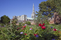 England, West Sussex, Chichester, Cathedral spire seen from Bishops gardens