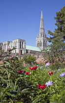 England, West Sussex, Chichester, Cathedral spire seen from Bishops gardens