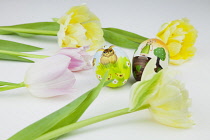Studio shot of tulip flowers with painted eggs for Easter.