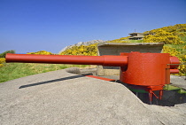 Ireland, County Donegal, Inishowen, Fort Dunree, restored red gun.