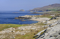 Ireland, County Donegal, Inishowen Peninsula, Malin Head.