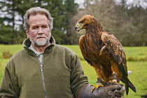 Ireland, County Sligo, Ballymote, Eagles Flying tourist attraction, Golden Eagle.