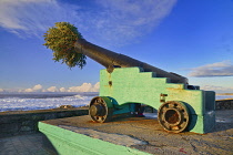 Ireland, County Sligo, Strandhill seaside promenade, Using a cannon to dispose of the Christmas tree.
