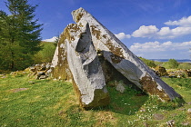 Ireland, County Cavan,  Cavan Burren Park, The Calf House Dolmen.