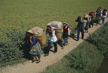 China, Shapin, Line of women walking along a path carrying baskets of goods on their backs to market.