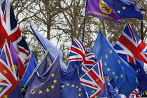 England, London, Westminster, Parliament Square, Brexit protest flags.