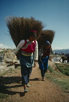 China, Shapin Market, Bai Tribeswomen carrying rushes to market.