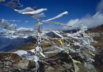 China, Tibet, Lamjura Pass, Prayer flags flying in mountain landscape.