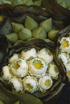 Thailand, Bangkok, Markets, Close up view of lotus flowers on a market stall.
