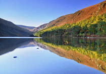 Ireland, County Wicklow, Glendalough glacial valley, The Uppar Lake.