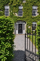 Ireland, County Offaly, Birr which is a town renowned for its Georgian architecture, John's Mall, elegant black Georgian doorway surrounded by ivy covered walls and with an ornamental black railing ga...