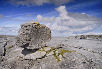 Ireland, County Clare, The Burren,  A single weathered rock sits on typical limestone landscape.