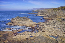 Ireland, County Mayo, Rocky seascape on the Atlantic Drive.