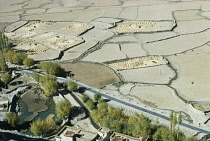 India, Ladakh, General, Agricultural landscape with harvested barley fields below Thikse gompa.