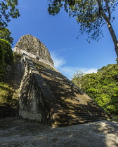 Guatemala, Temple V, a ruin in the archeological site of the ancient Mayan culture in Tikal National Park, UNESCO World Heritage site, Temple V was built around 700 AD in the Late Classic Period and i...