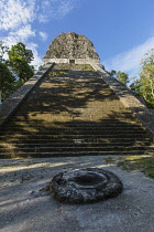 Guatemala, Temple V, a ruin in the archeological site of the ancient Mayan culture in Tikal National Park, Sacrificial altar in the foreground, UNESCO World Heritage site, Temple V was built around 70...