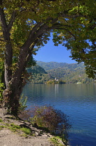 Slovenia, Upper Carniola, Bled, Distant view of Bled Island from circular walk of Lake Bled.