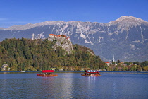Slovenia, Upper Carniola, Bled, Gondola Pletnas on Lake Bled ferrying tourists to Bled Island with Bled Castle visible in the background.