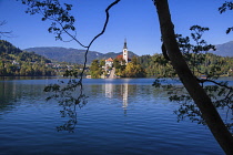 Slovenia, Upper Carniola, Bled, View of Bled Island and the Church of the Annunciation from the circular walk around Lake Bled.