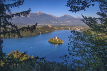 Slovenia, Upper Carniola, Bled, Lake Bled and Bled Island from the Osojnica Viewpoint with Bled Castle in the background.