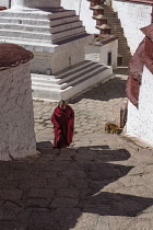 The Ganden Monastery sits at the top of a natural amphitheater on Wangbur Mountain.  It was founded in 1409 A.D.  but was mostly destroyed in 1959 by the Chinese military.   It has been partially rebu...