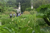England, Oxford, Botanic Garden, planting and pathways.