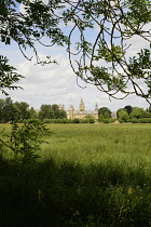 England, Oxford, Christ Church meadow.