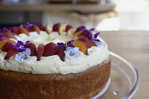 England, Oxford, Barefoot cafe, Jericho, fresh cake decorated with fruit and edible flowers.