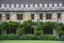 England, Oxford, Magdalen College, Cloister buildings with lawn.