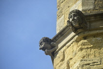 England, Oxford, New College, gargoyles.