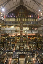 England, Oxford, Pitt Rivers Museum interior gallery.