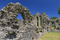 Ireland, County Down, Downpatrick, Inch Abbey ruins.