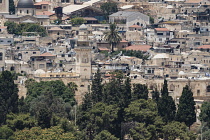 Israel, Jerusalem, Mount of Olives, The Bab al-Silsila minaret is one of the four minarets on the Temple Mount or al-Haram ash-Sharif and its Walls is a UNESCO World Heritage Site. The trees on the al...