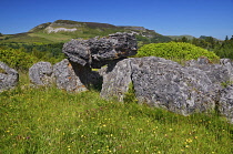 Ireland, County Sligo, Deerpark Court Tomb.