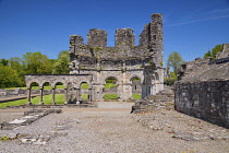 Ireland, County Louth, Mellifont Abbey, 12th century Cistercian abbey, The Lavabo.
