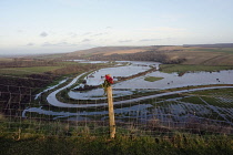 England, East Sussex, River Cuckmere, Flooded fields around winding river.