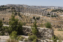 Palestine, Bethlehem, Fields in the hills around modern Bethlehem where ancient shepards would have grazed their flocks. Occupied Territories of the West Bank. The Israeli border security fence is vis...