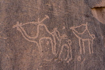 Jordan, Wadi Rum Protected Area, Ancient rock art depicting a camel caravan in Khaz'ali Canyon in the Wadi Rum Protected Area, a UNESCO World Heritage Site. The petroglyphs are of Thamudic origin and...